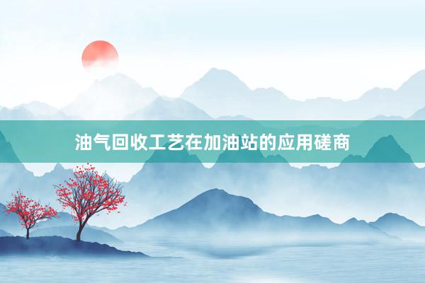 油气回收工艺在加油站的应用磋商