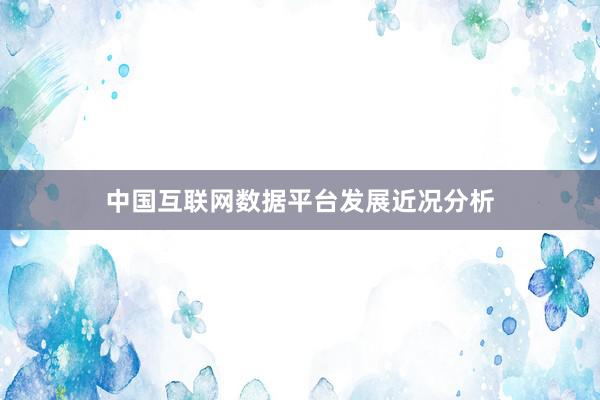 中国互联网数据平台发展近况分析